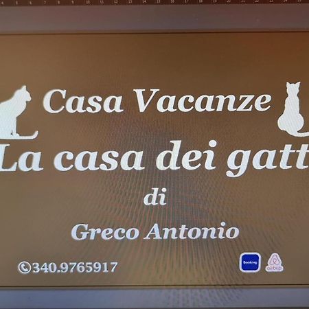 锡拉库扎La Casa Dei Gatti公寓 外观 照片