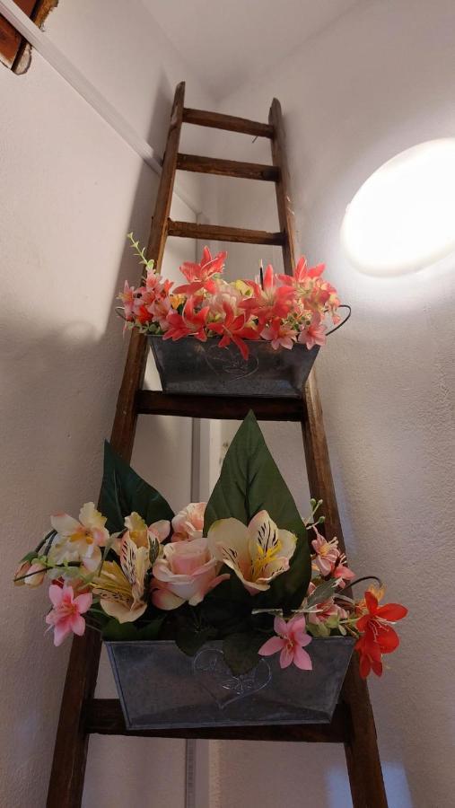 锡拉库扎La Casa Dei Gatti公寓 外观 照片